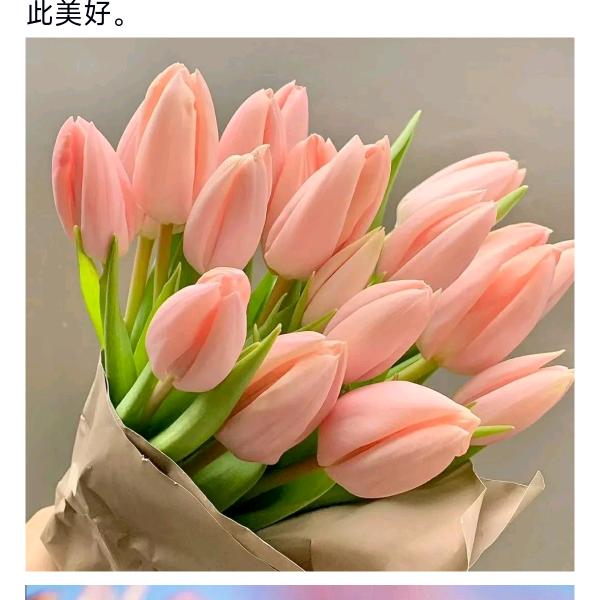 舍  予