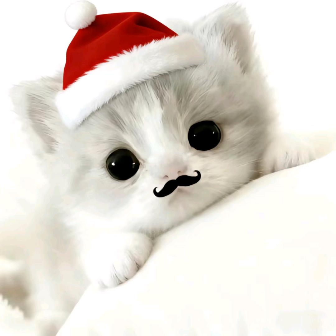 斑马还没睡⊙﹏⊙