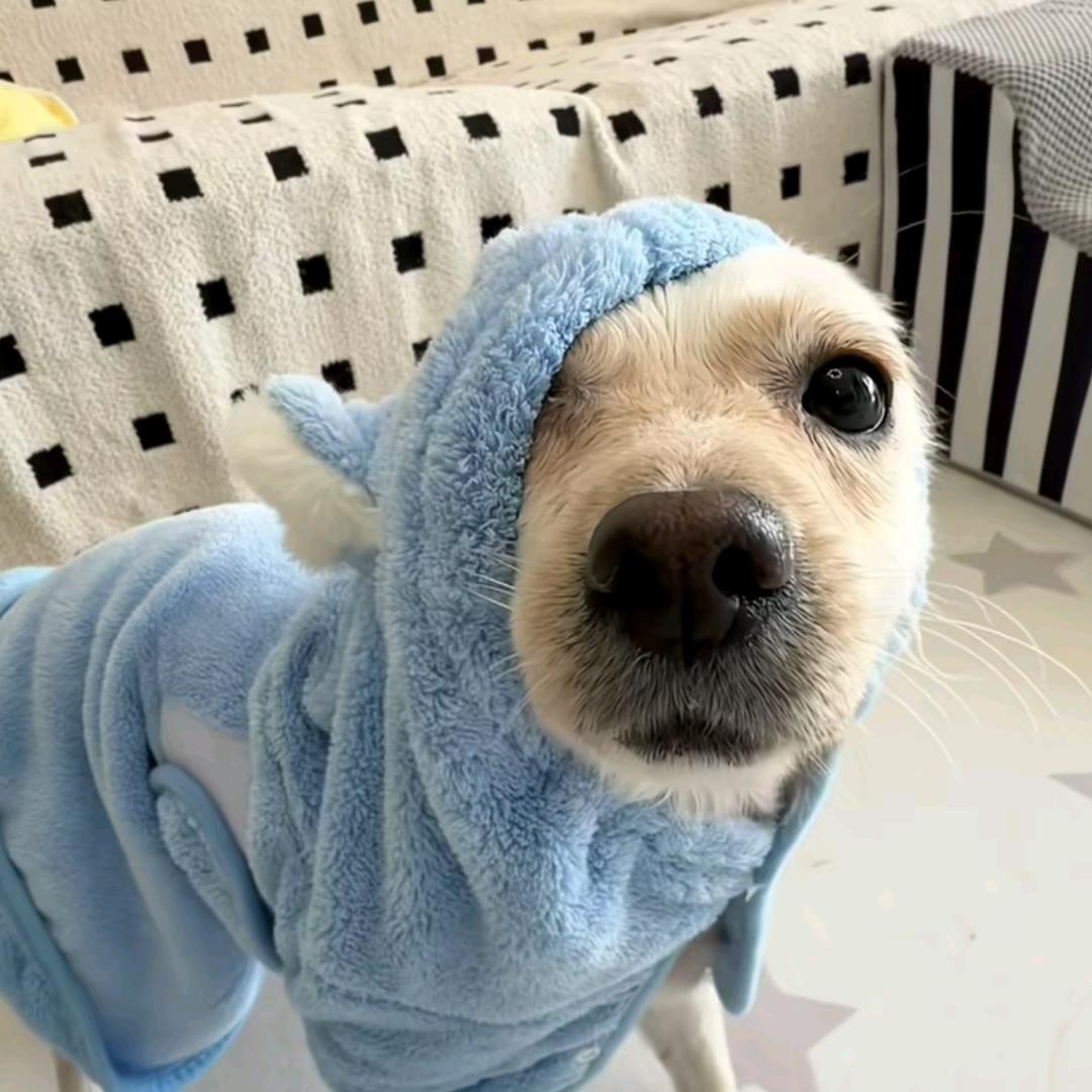 郑经人