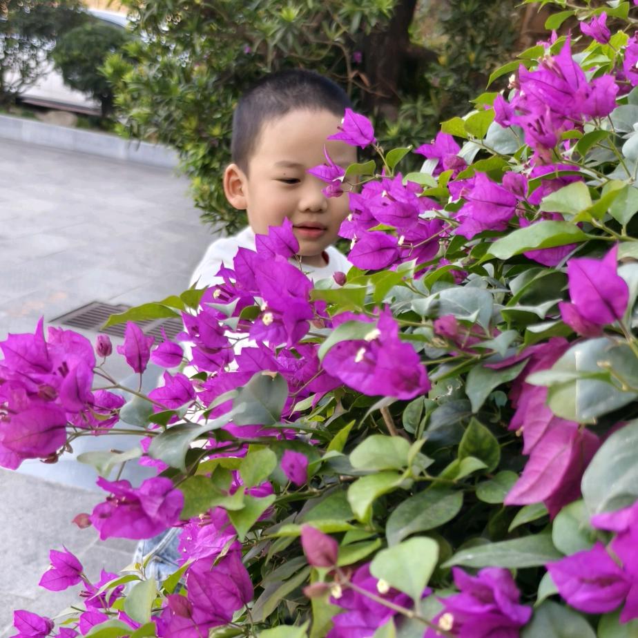 云南宇哥