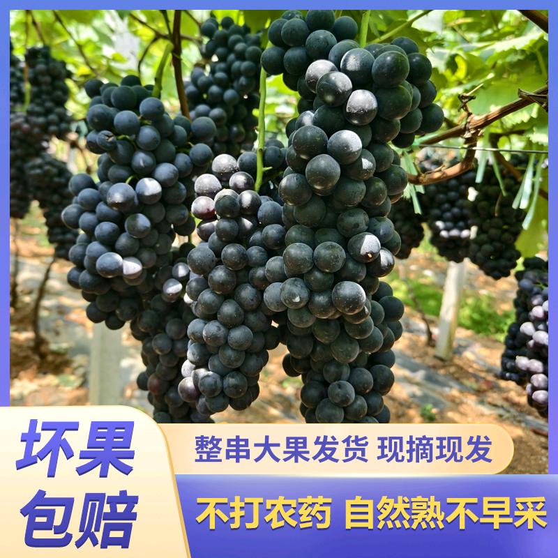 安宁路达农产优品小铺