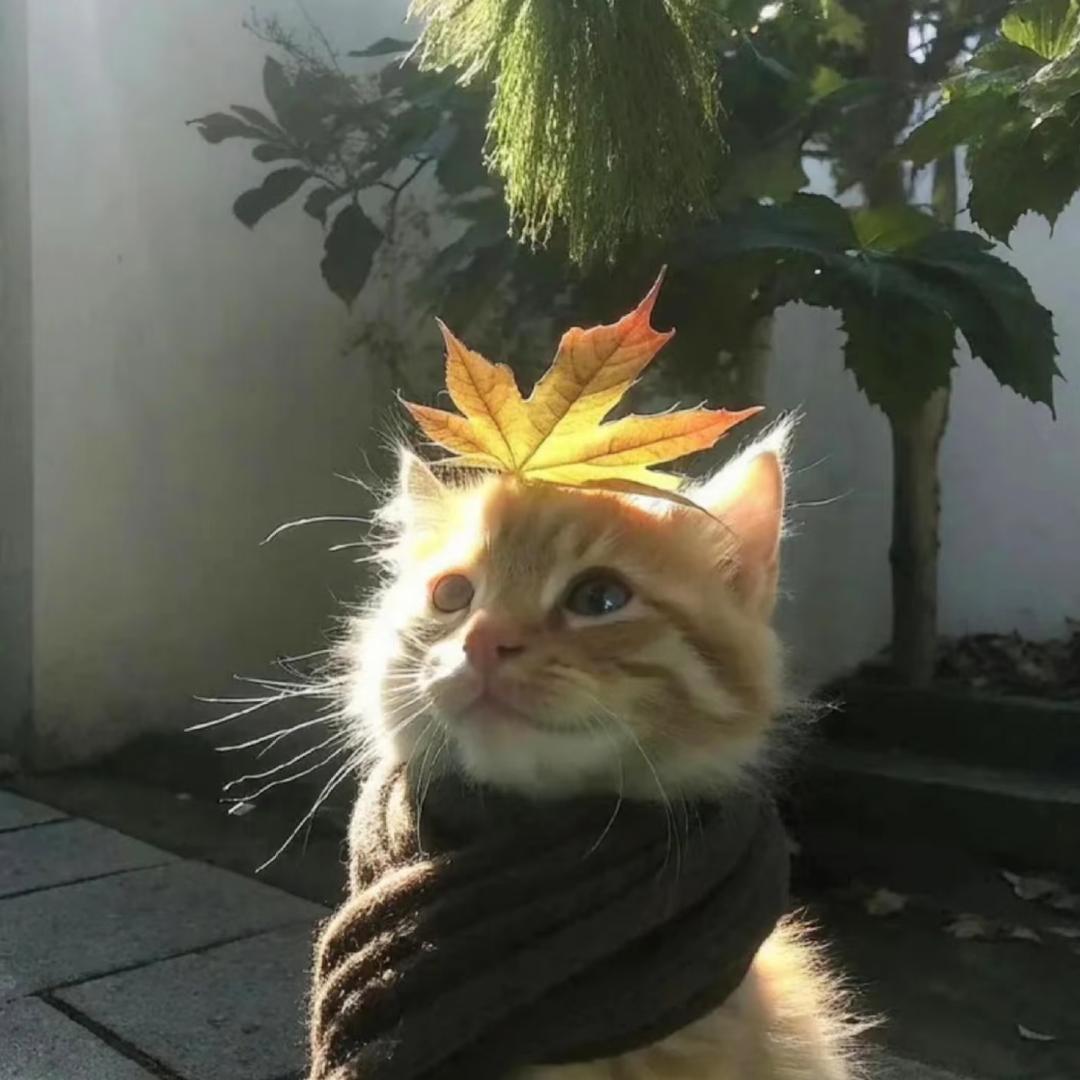 一口冰块儿