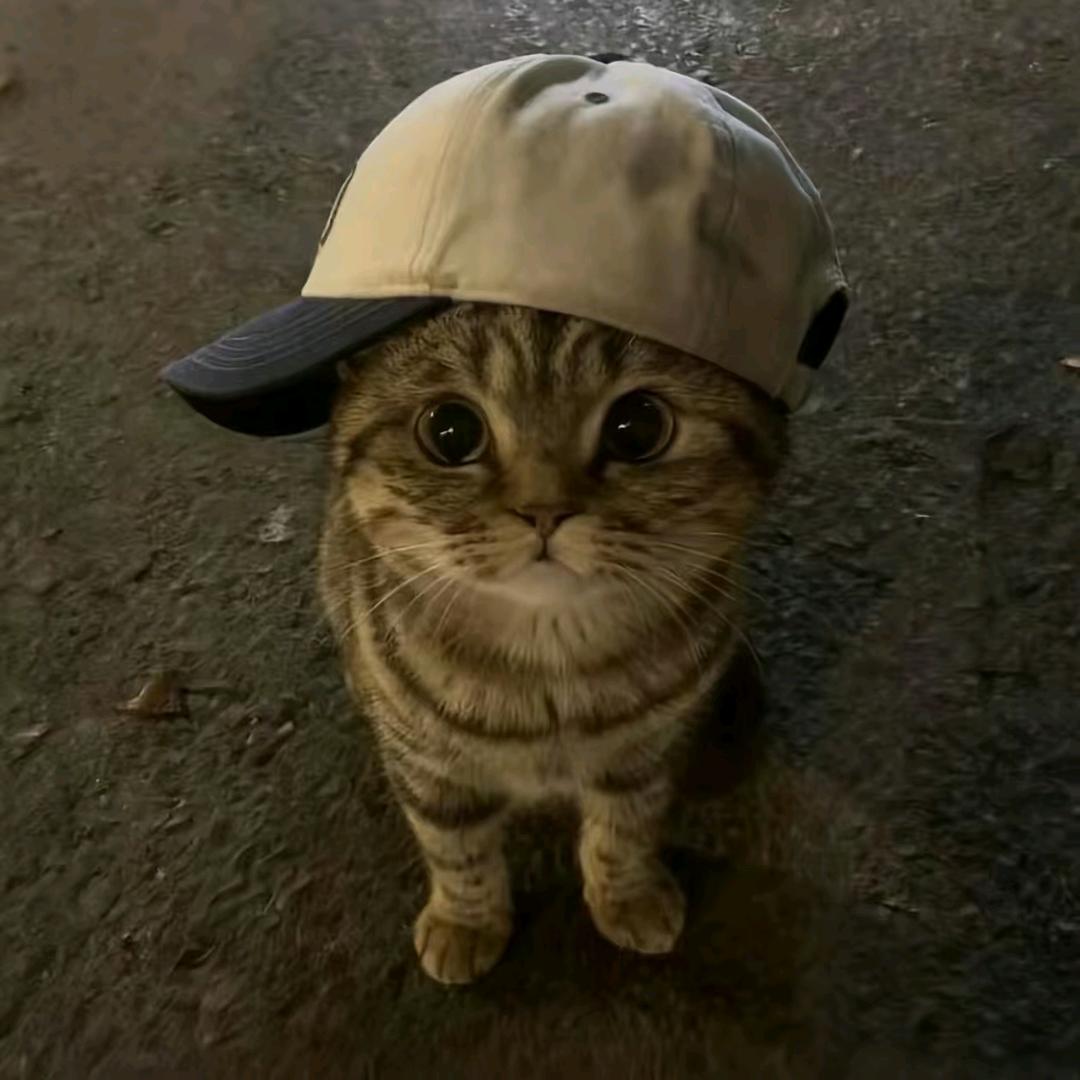 做只快乐小洋ʸ𝒀
