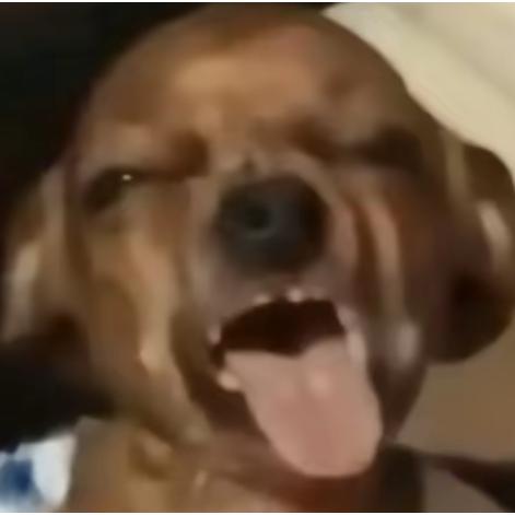 ＼＼\\٩( 'ω' )و //／／