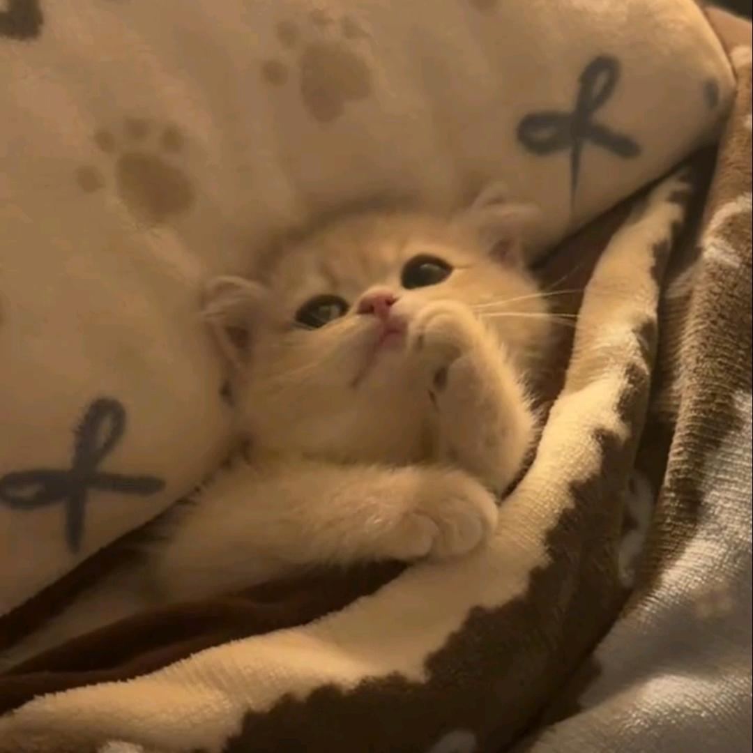 tu