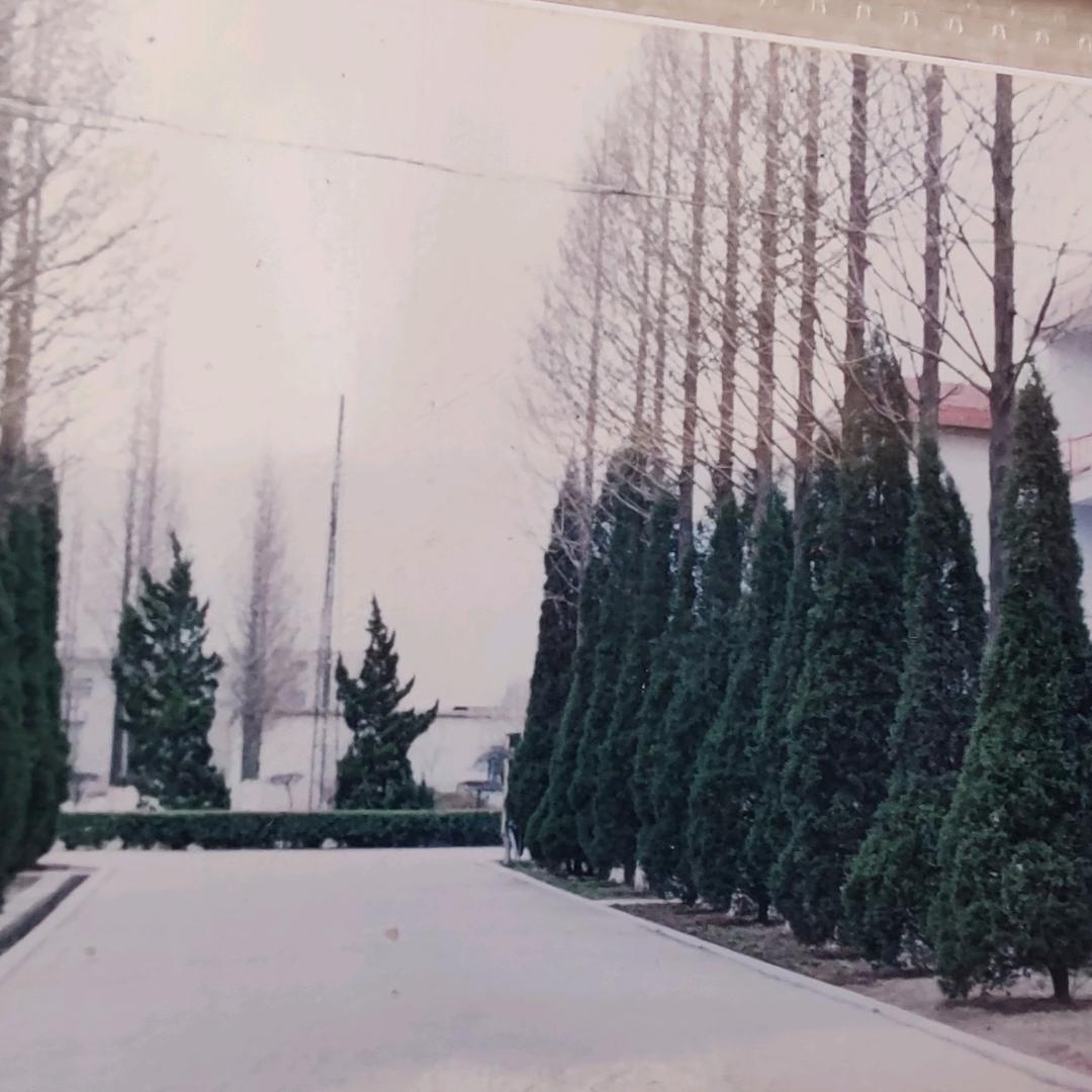 王光堂