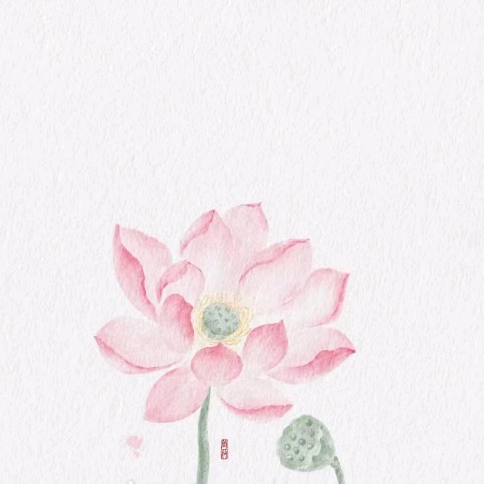 🌸七月花花🌸