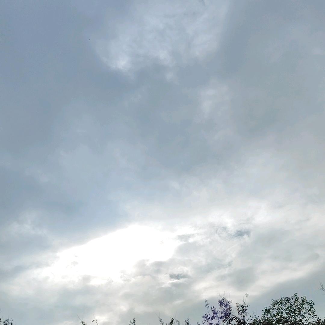 无忧🌸🌸🌸🌸