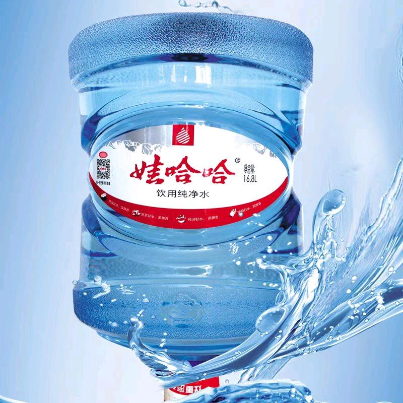 等雪的蝉