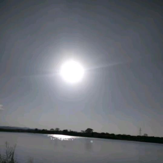 六耳猕猴小曾哥。