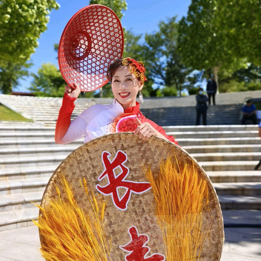 九月菊