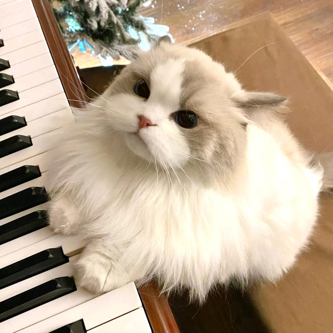 找自己