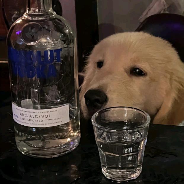 永恒～