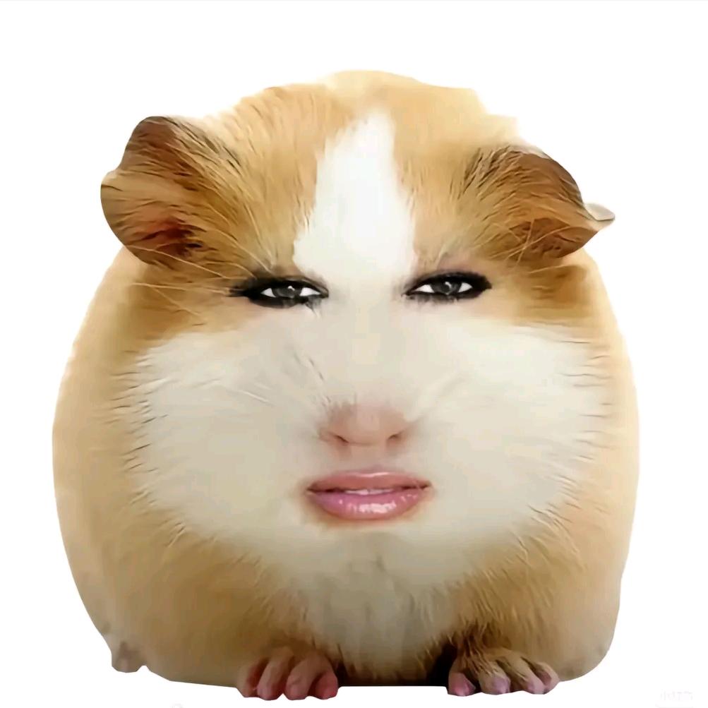 小黑