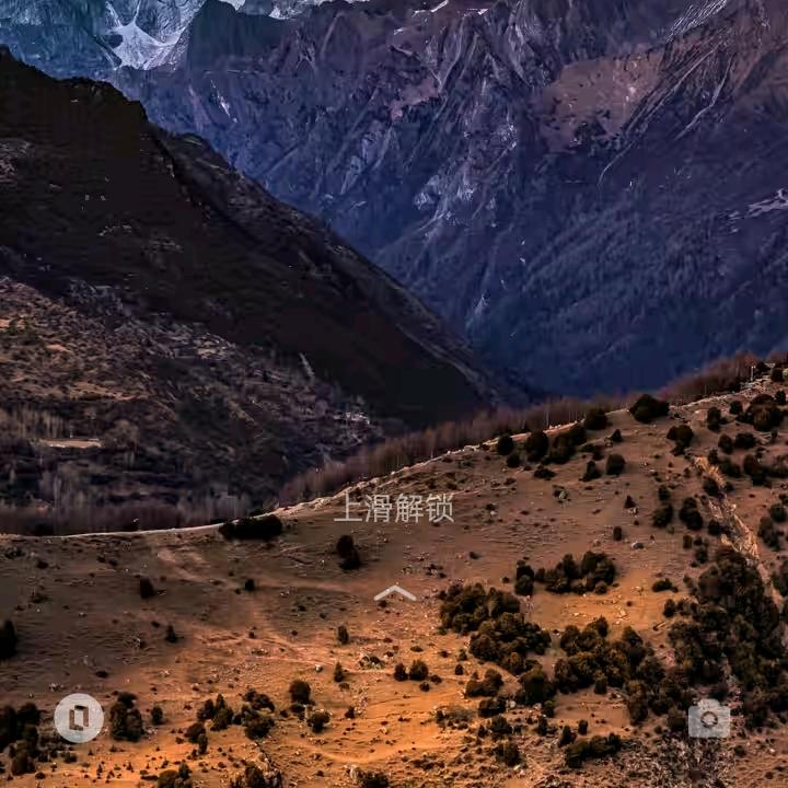 用户2225295009449