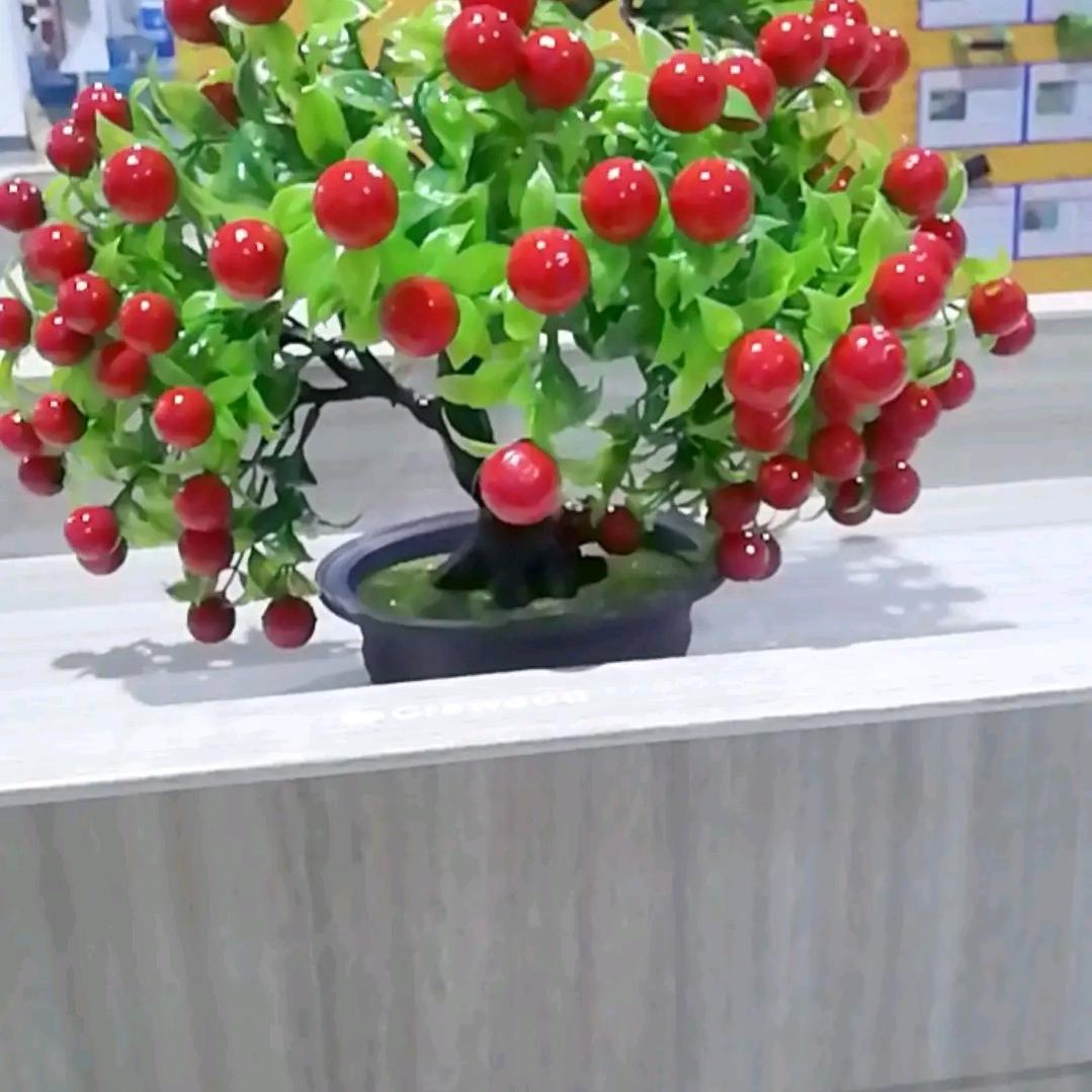 蝶恋花