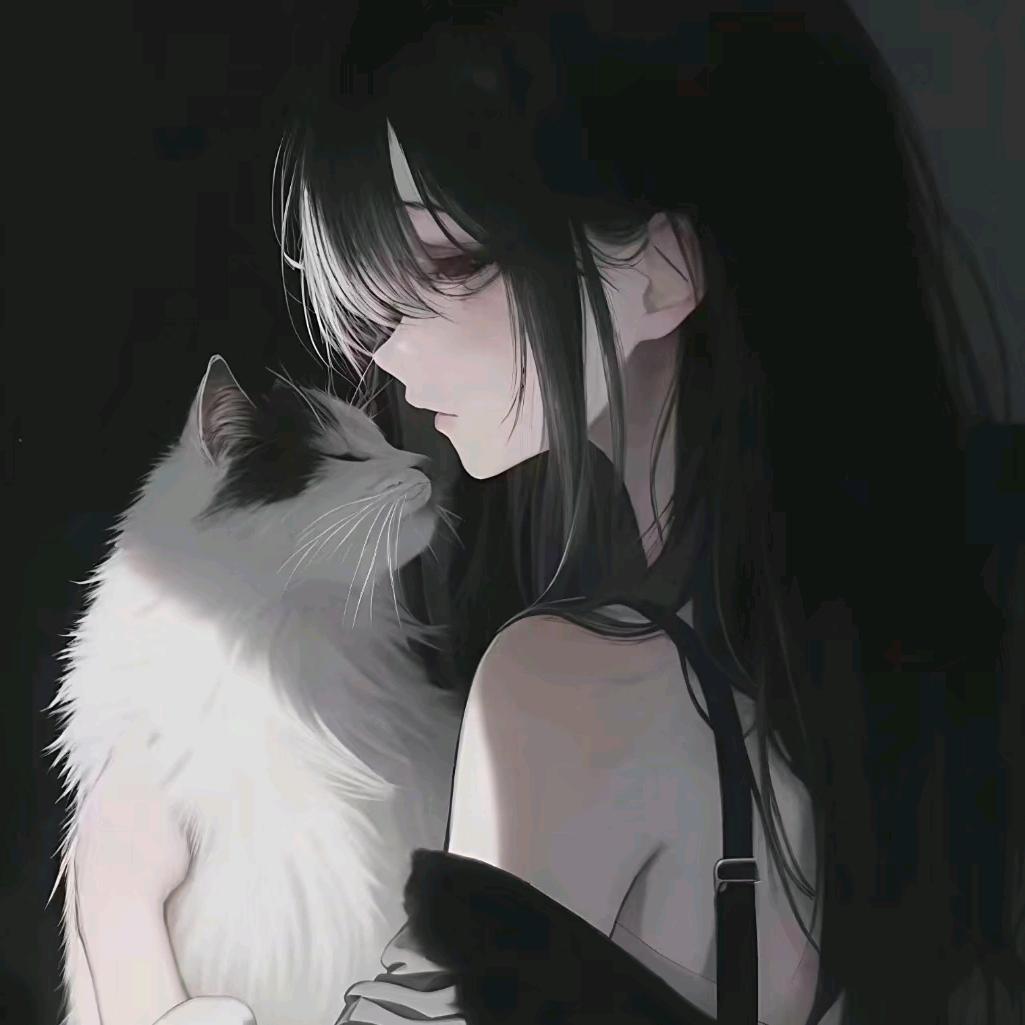 宝宝