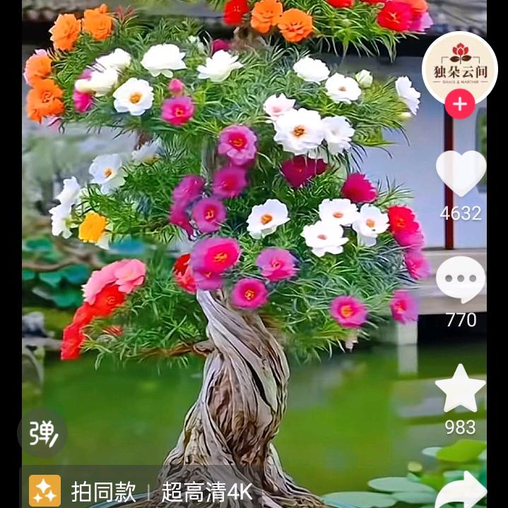 心心相印