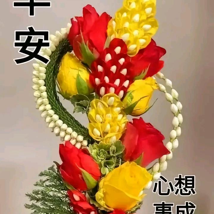 光头哥