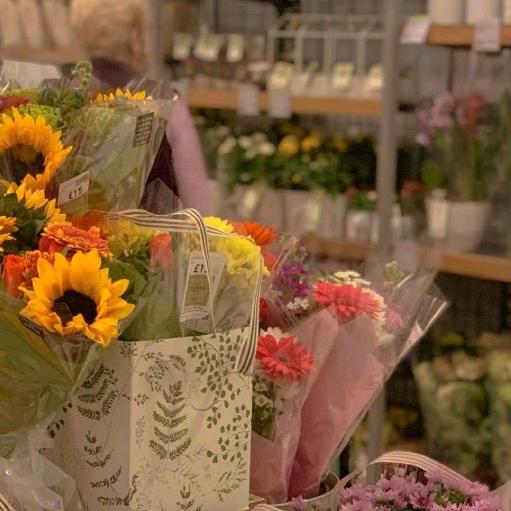 月亮代表我的心