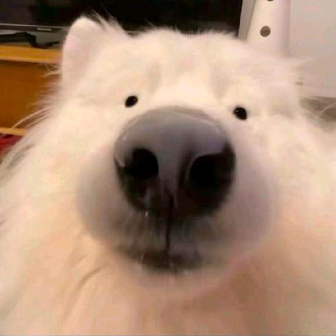 半杯冰美式