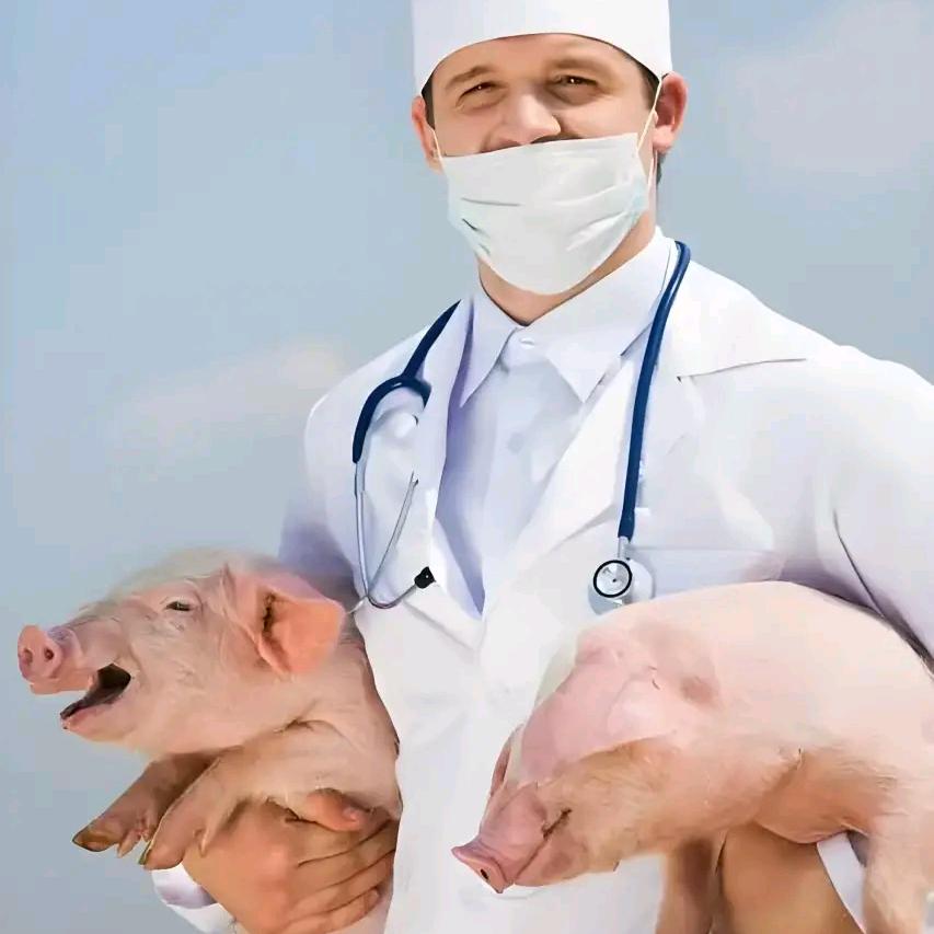 精神病收留中心