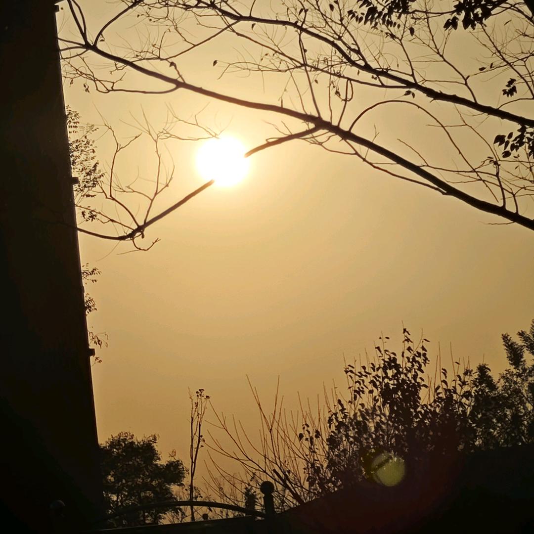 严有空