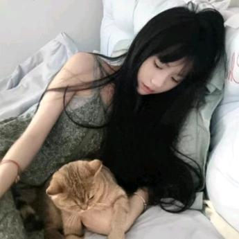 枝情绘