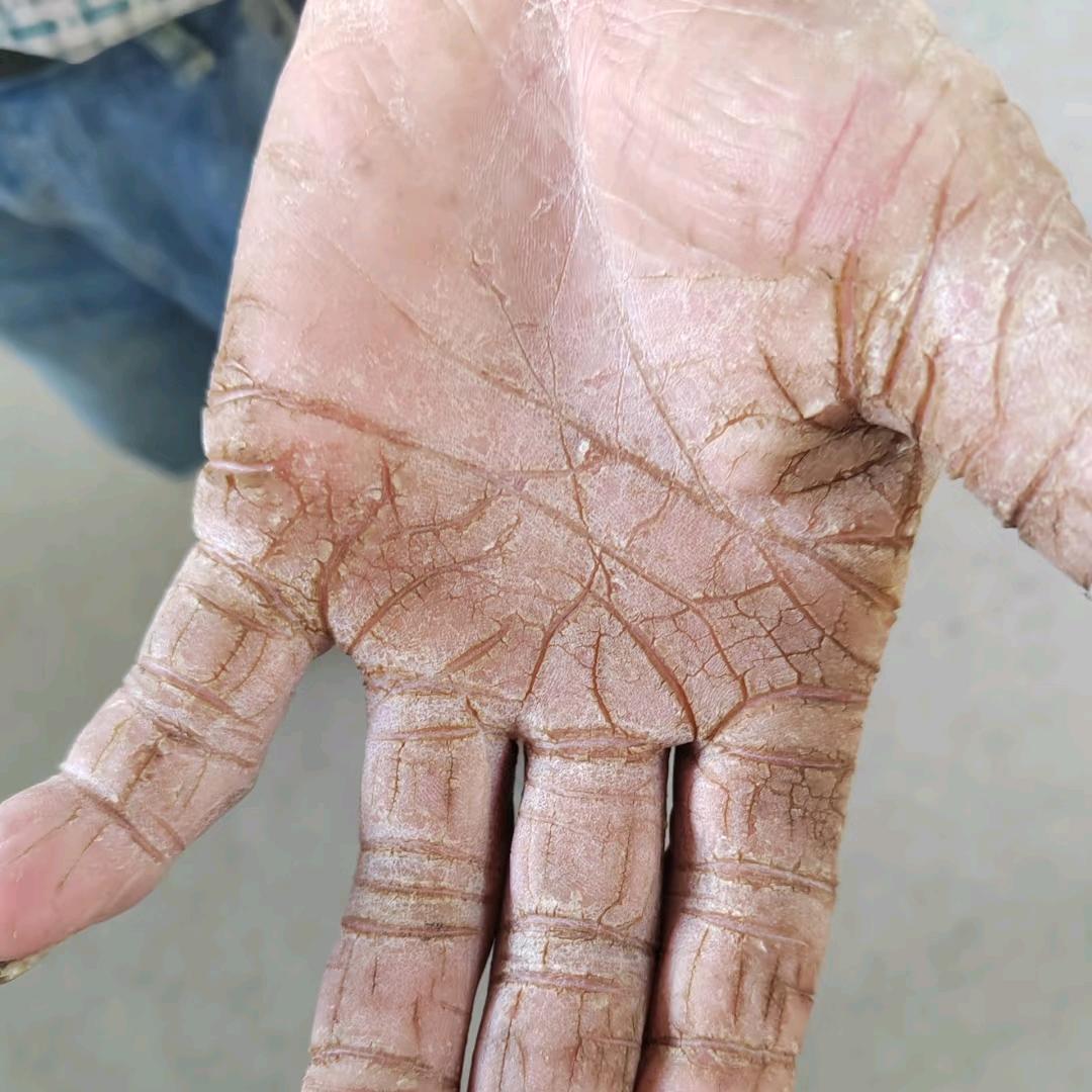 铂石严选