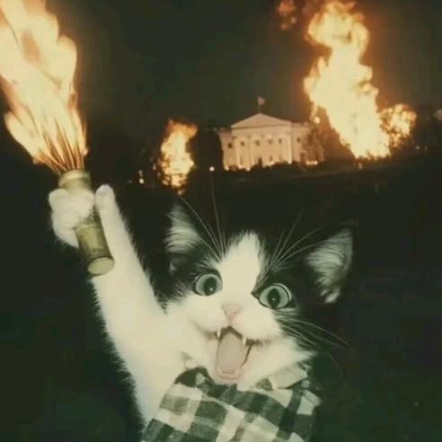 骑老奶奶过马路╭☞