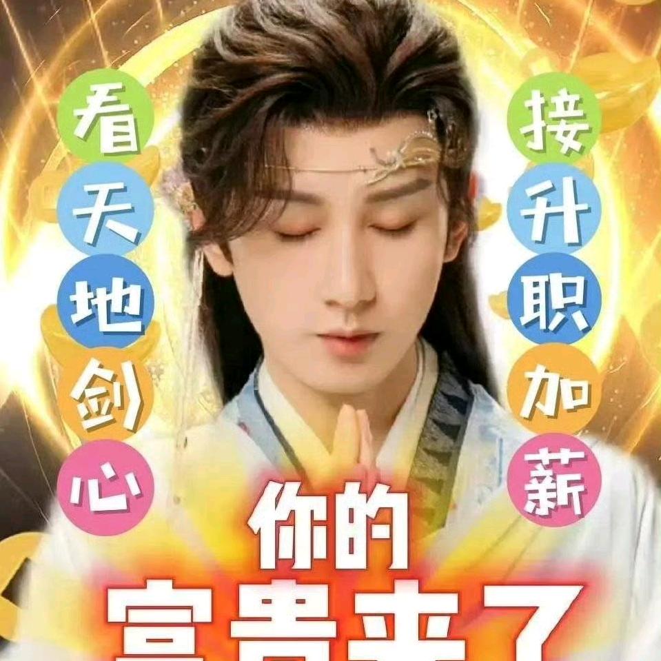 淇毅VL