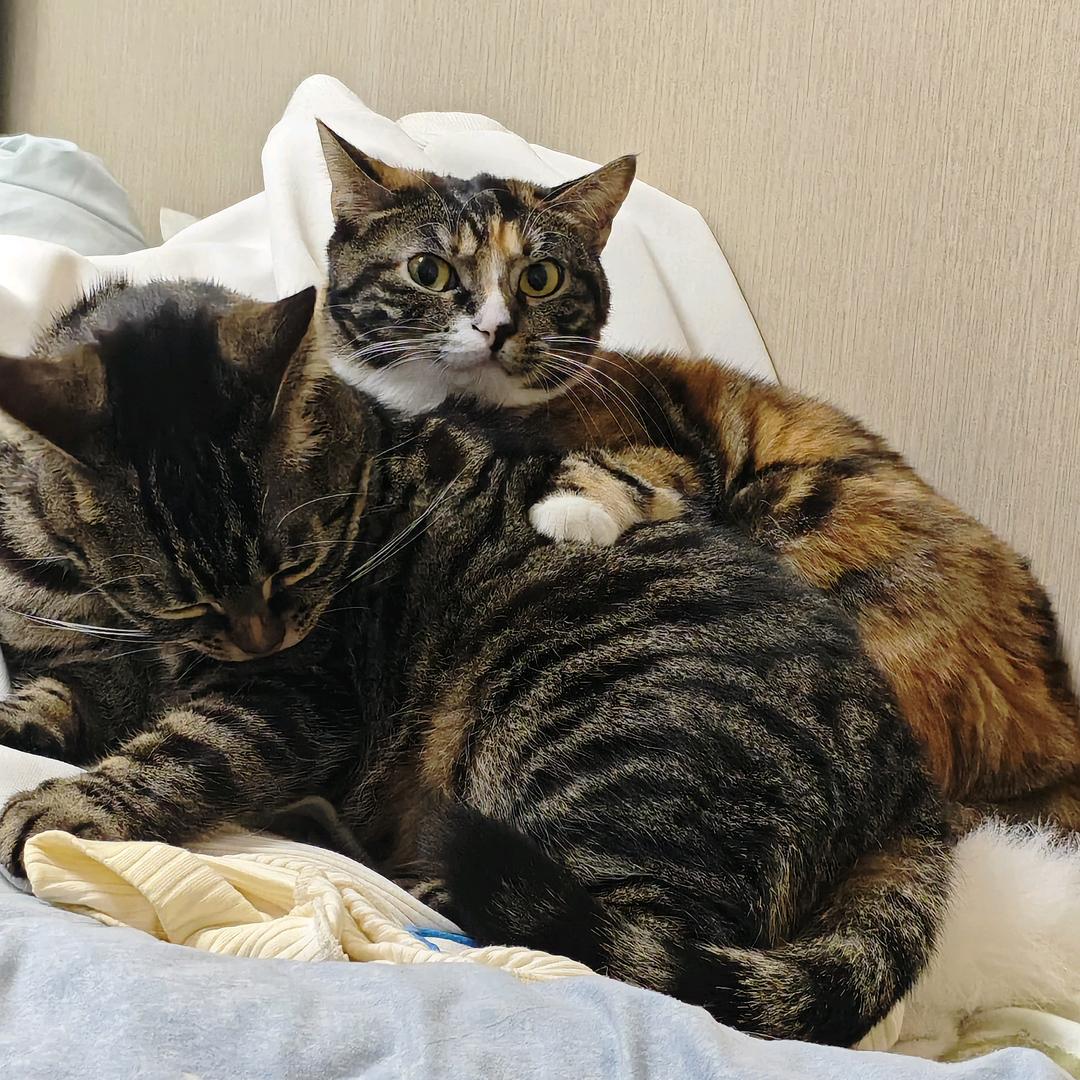 沙子今天努力了吗