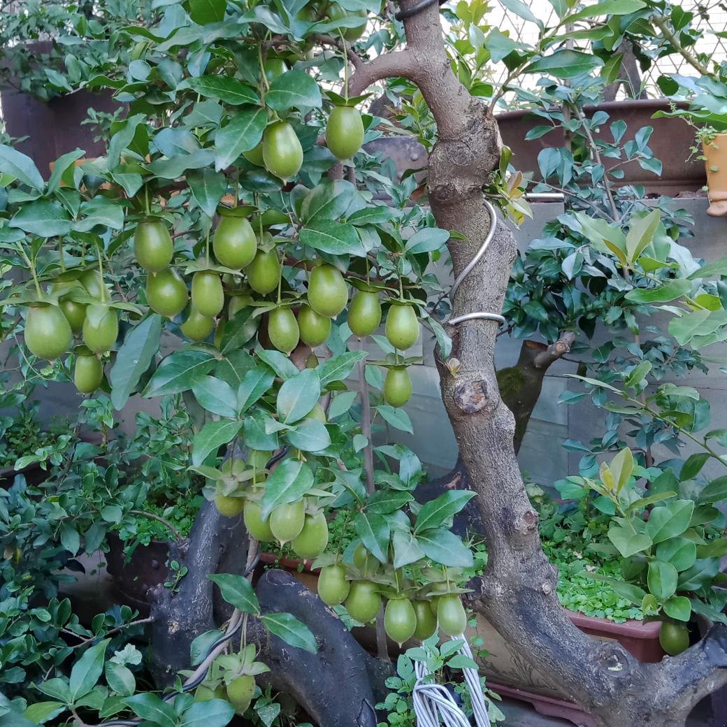 💐❤®小蚂蚁🌊™🌹🎶