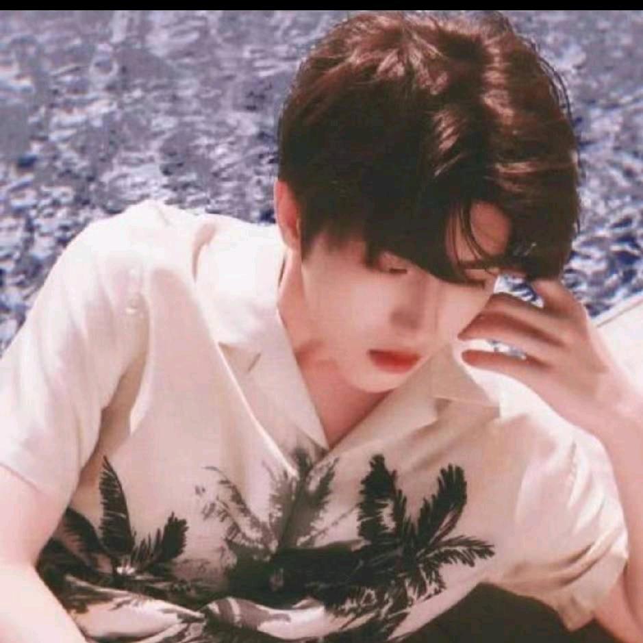 🍂登峰造极🍂