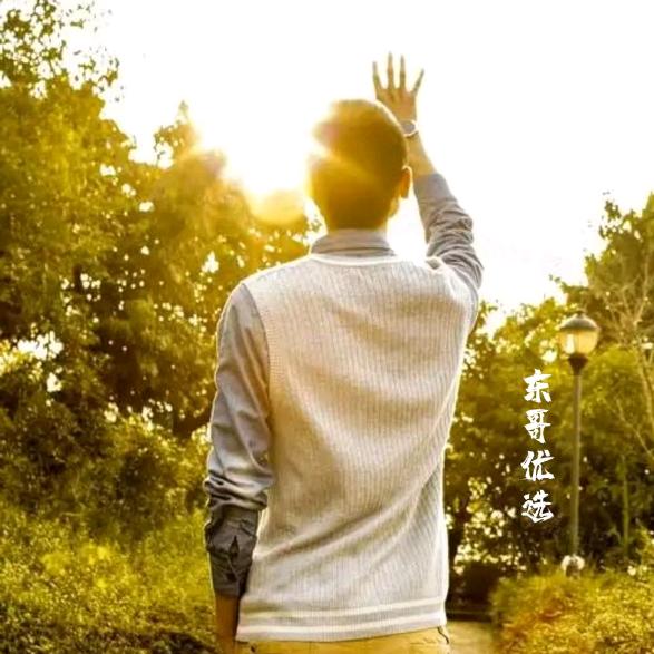 东哥优选