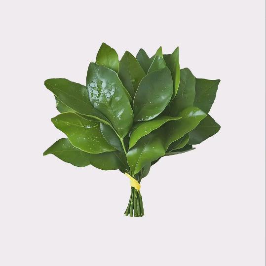 又逢春