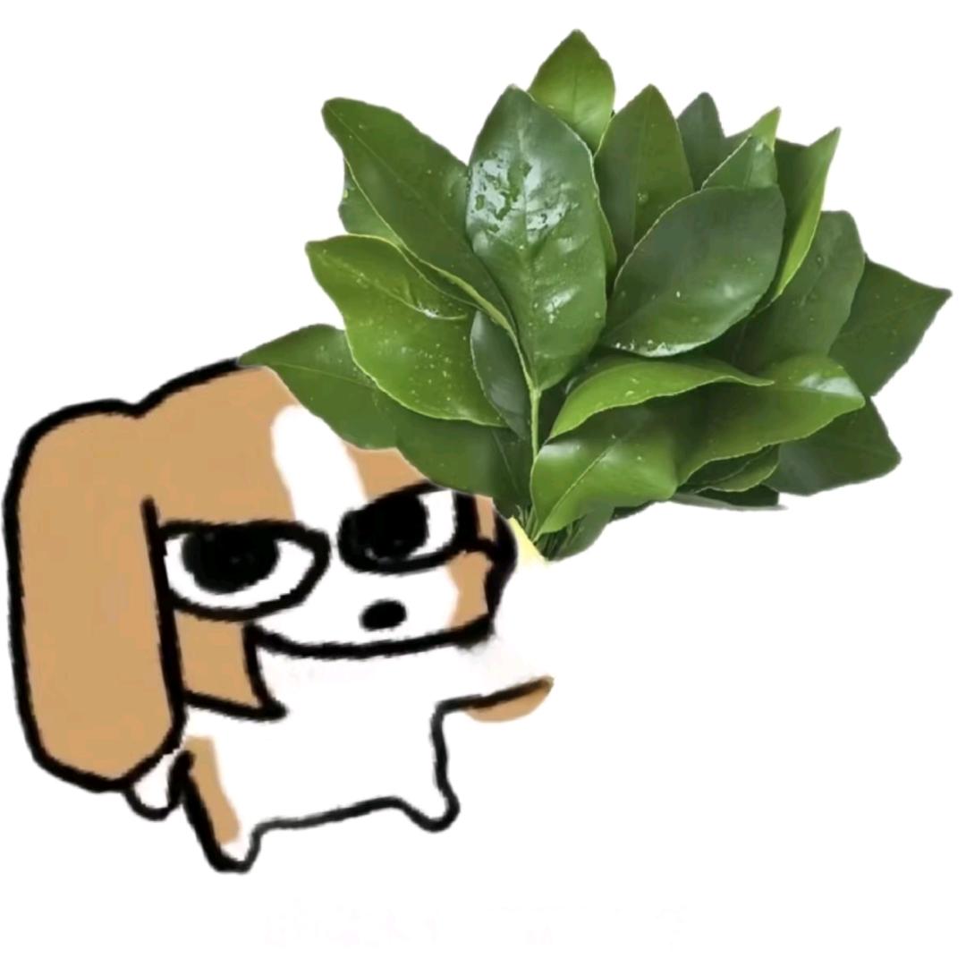 望所念即所得