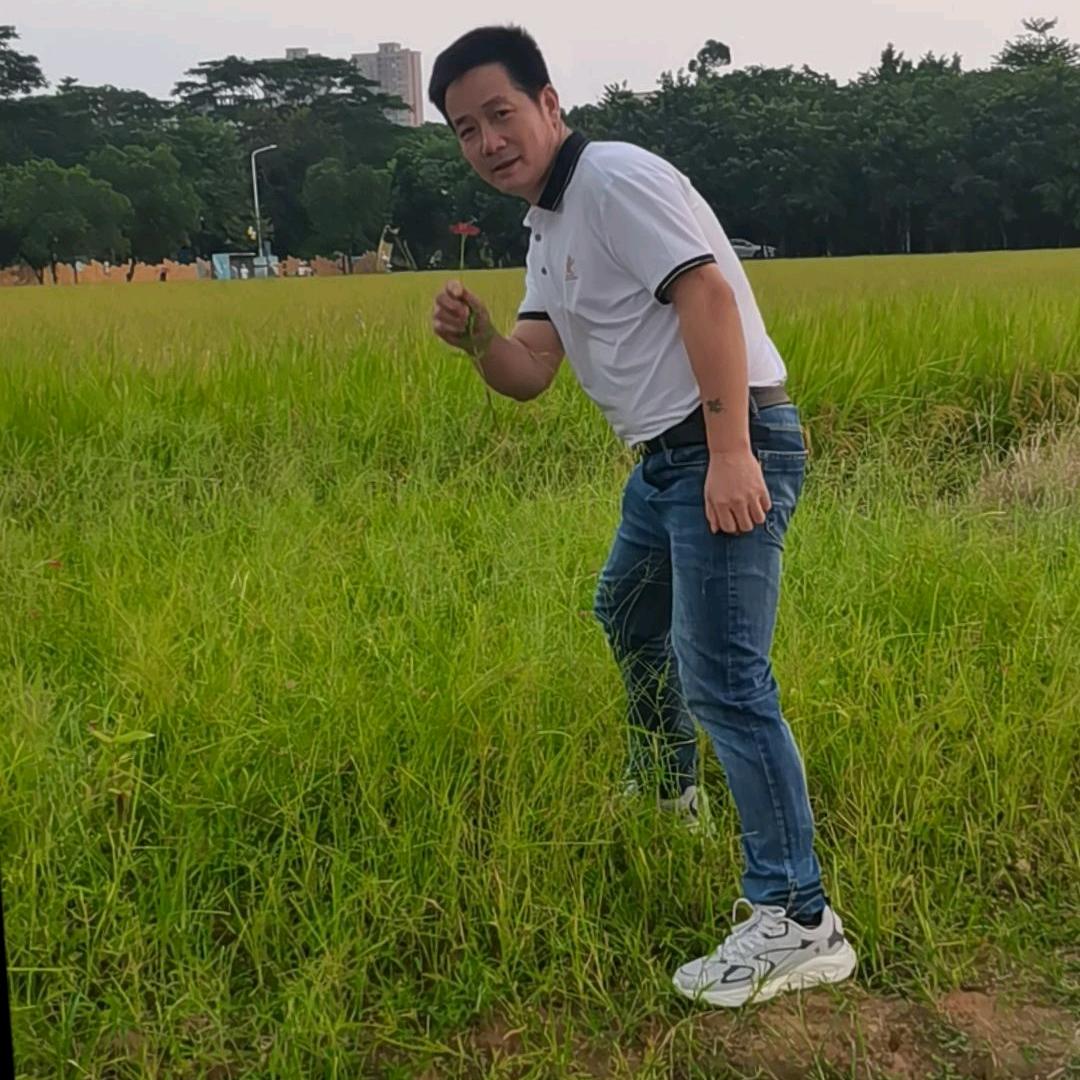 快乐飞翔