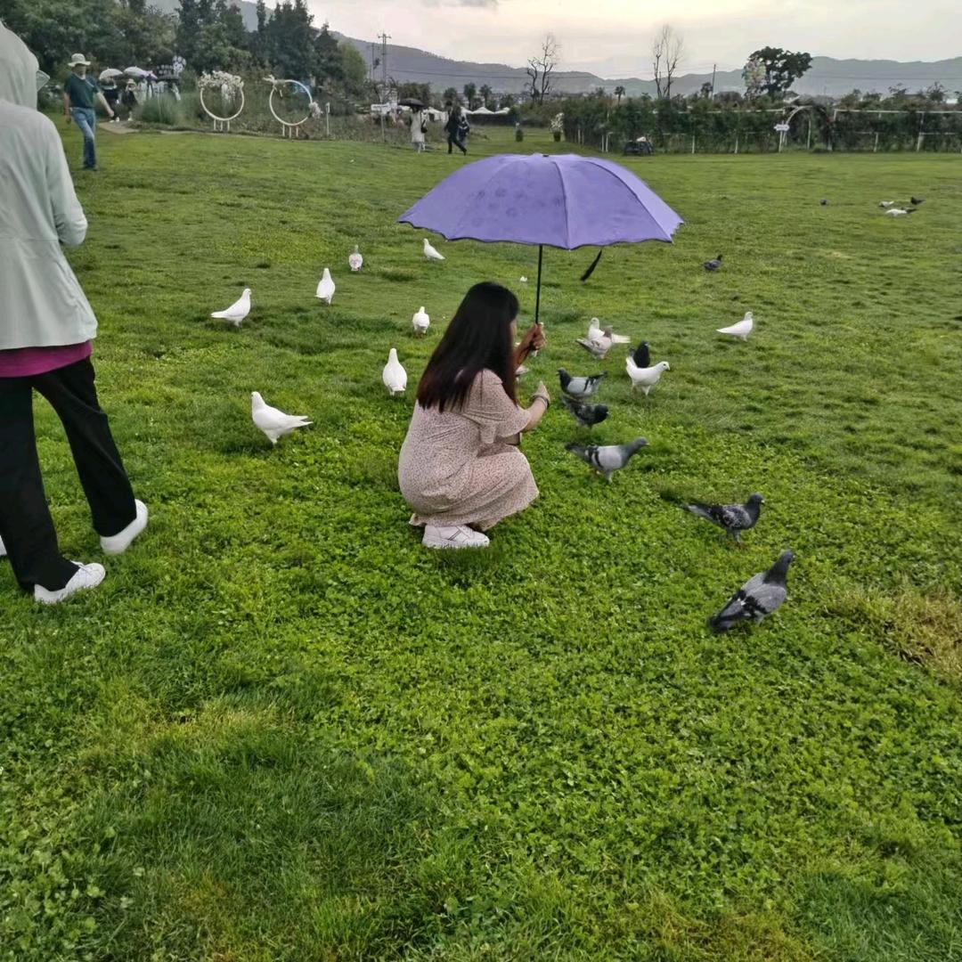 情为何物