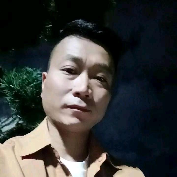 啊飞💔伤感💔音乐