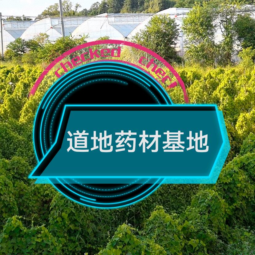 兴国千草聚道地药材种植合作社