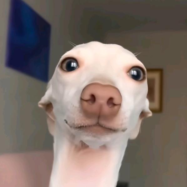 不喜欢吃🥚水🐟