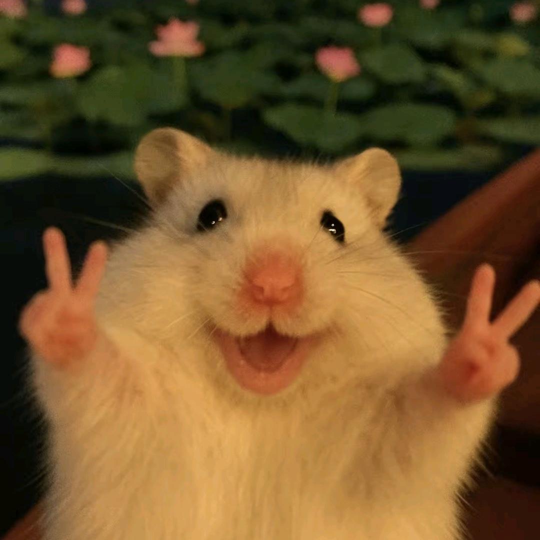 啊呜~