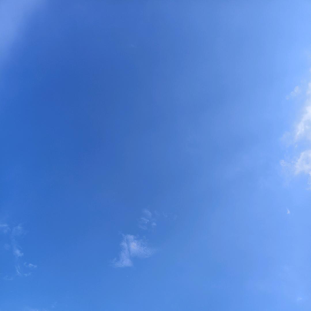 恋恋不舍