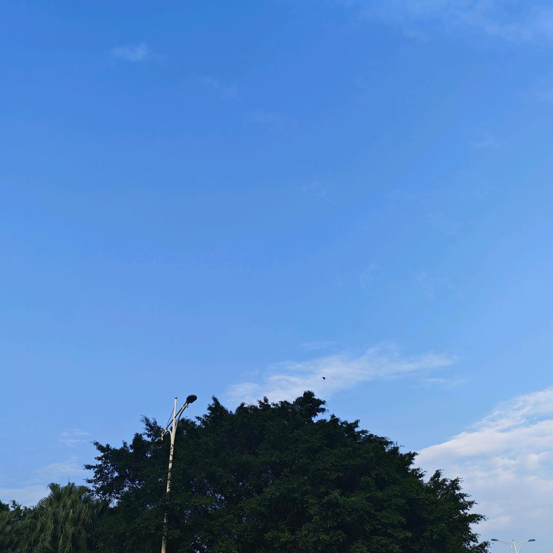 @₂ₒ₂₂୧⍤⃝张💞ــــﮩﮩ