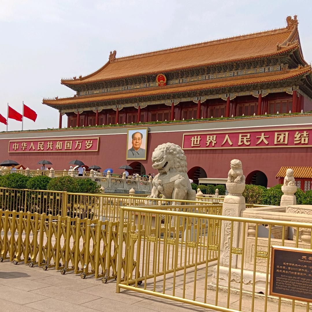 清清杨柳