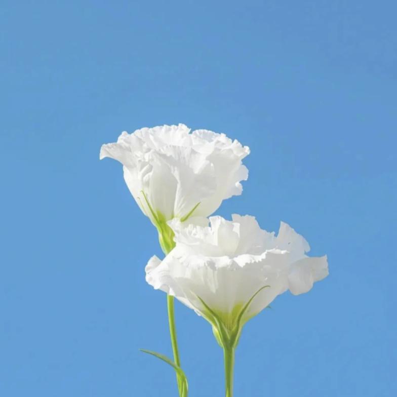 不悲伤