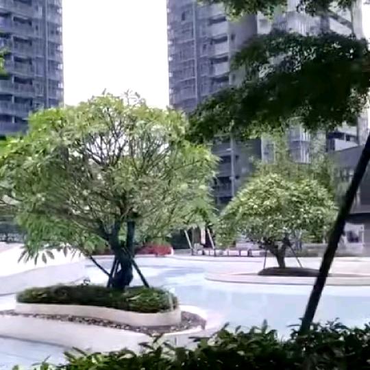 相约在明天