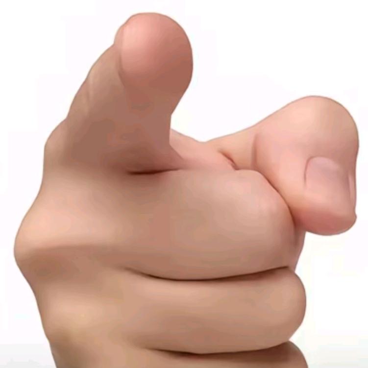 碰了你的狗头