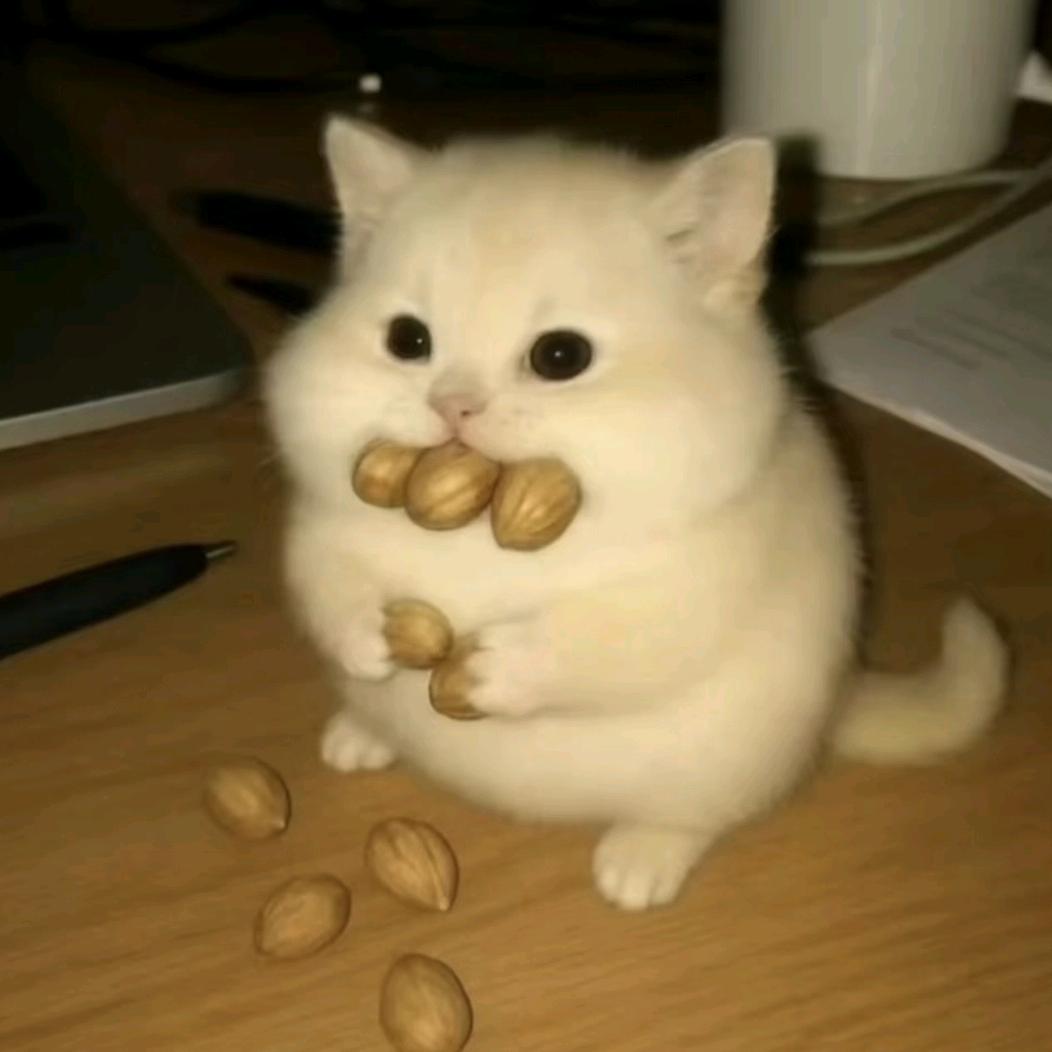 忧郁农村入之我这一生如绿豆冰